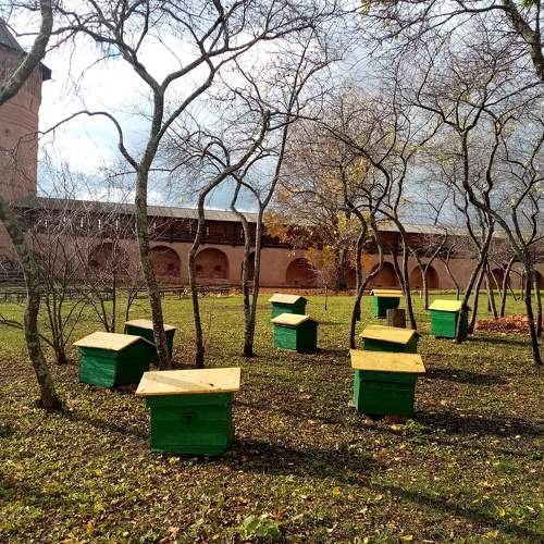 Photo #8419315