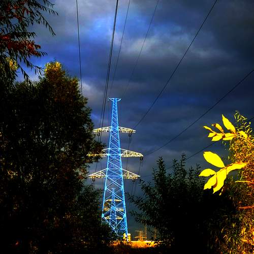 Photo #8419327