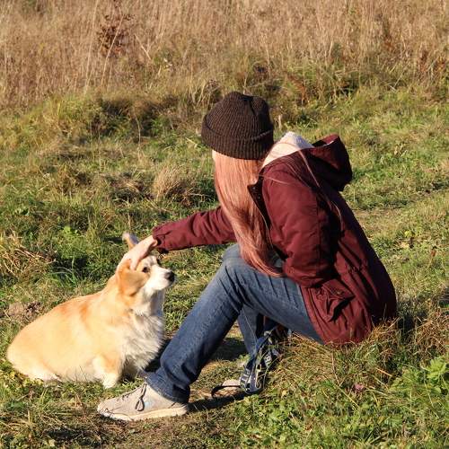 Photo #8419946