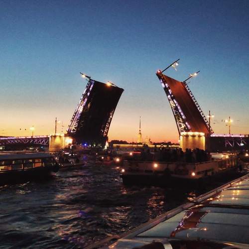 Photo #8420102