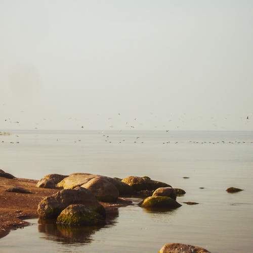 Photo #8420244