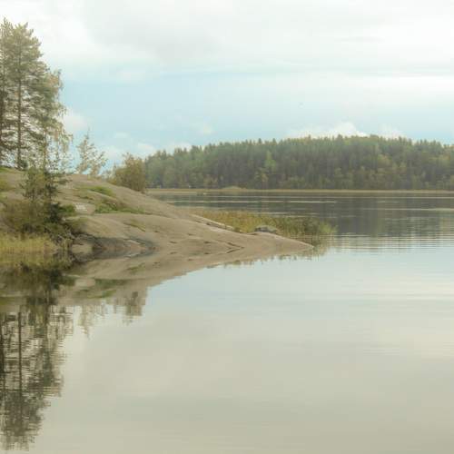 Photo #8420245