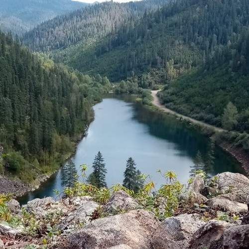 Photo #8420262