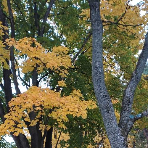Photo #8420277