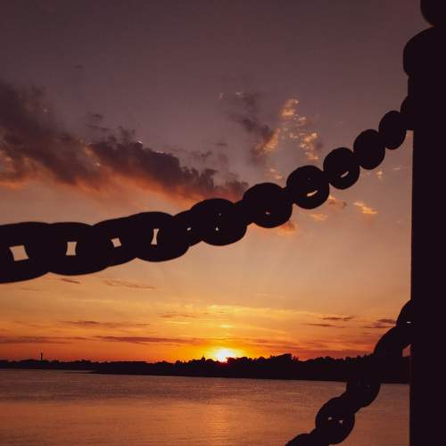 Photo #8420292