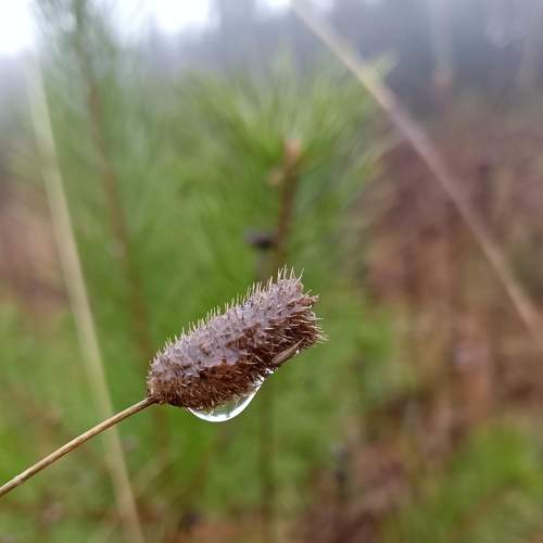 Photo #8420304