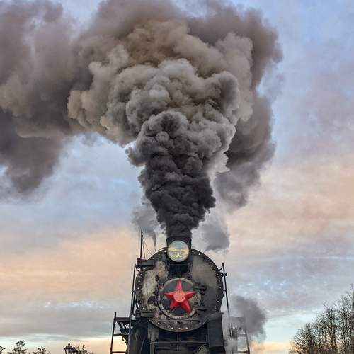 Photo #8420397