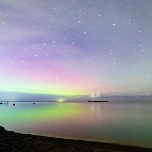 Photo #8420412