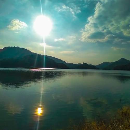 Photo #8420876