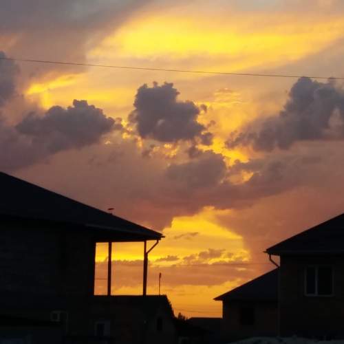 Photo #8421092