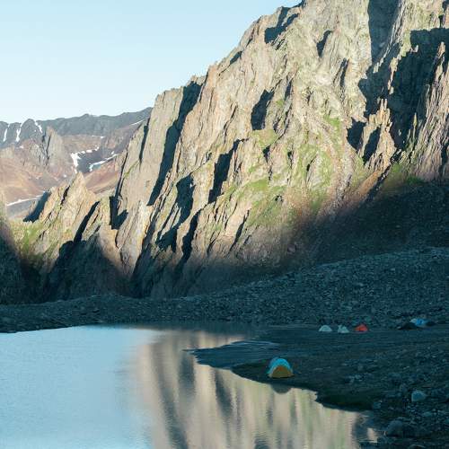 Photo #8421181