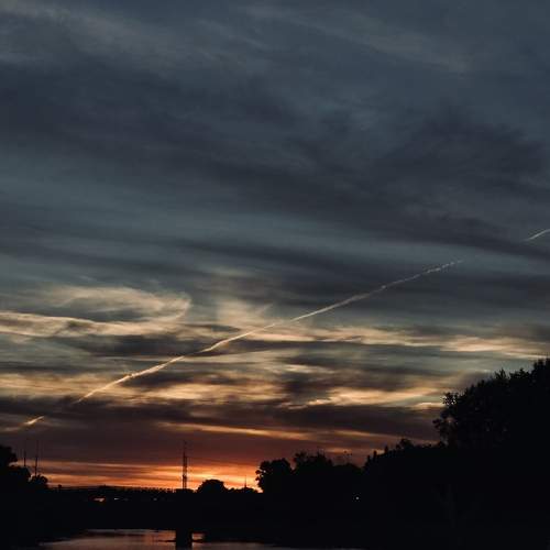 Photo #8421664