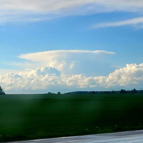 Photo #8421956