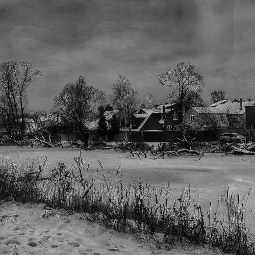 Photo #8421973