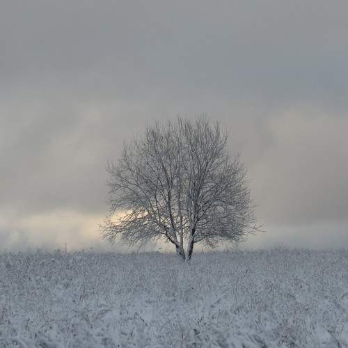 Photo #8421997