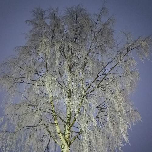 Photo #8422083