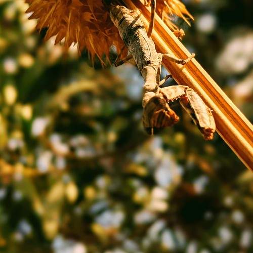 Photo #8422242