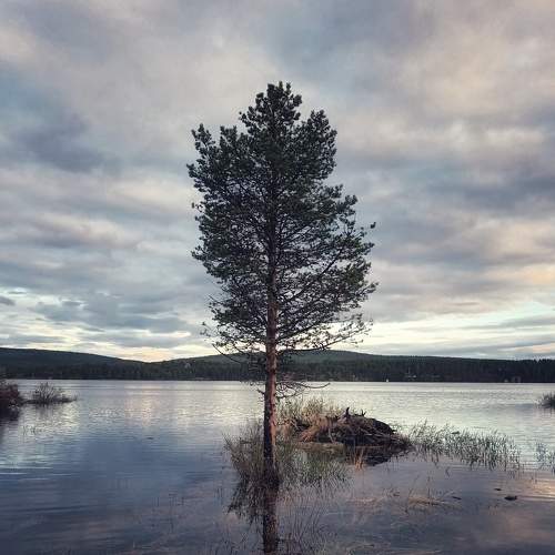 The loneliest