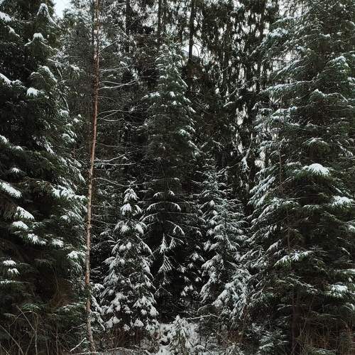 Photo #8422946