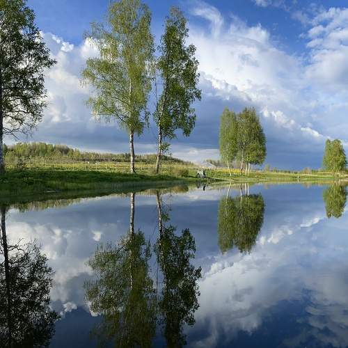 Photo #8423106