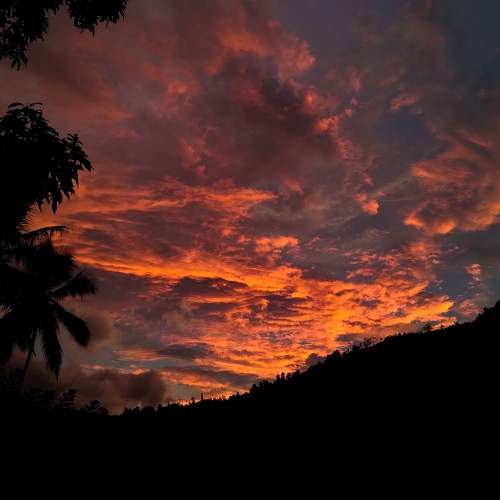 Photo #8423536