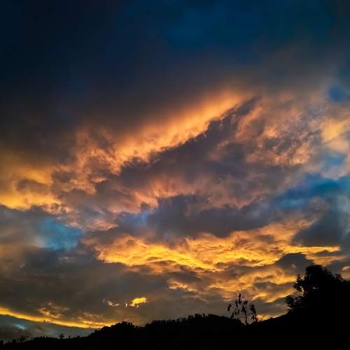 Photo #8423540