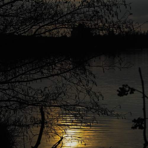 Photo #8423966