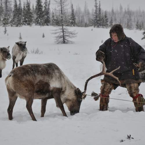 Photo #8423973