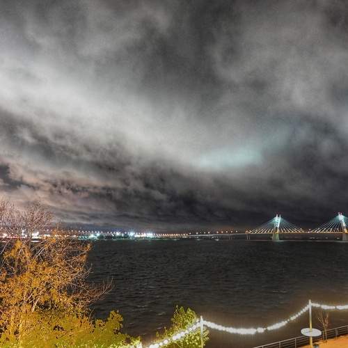 Photo #8423984