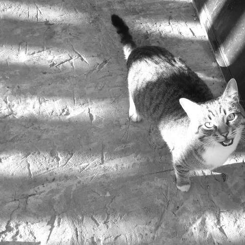 Photo #8424675