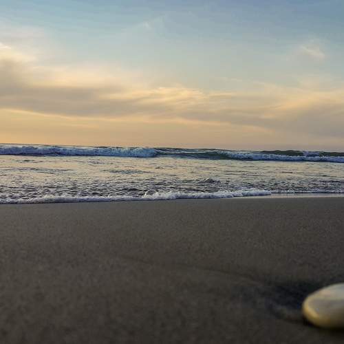 Photo #8425165