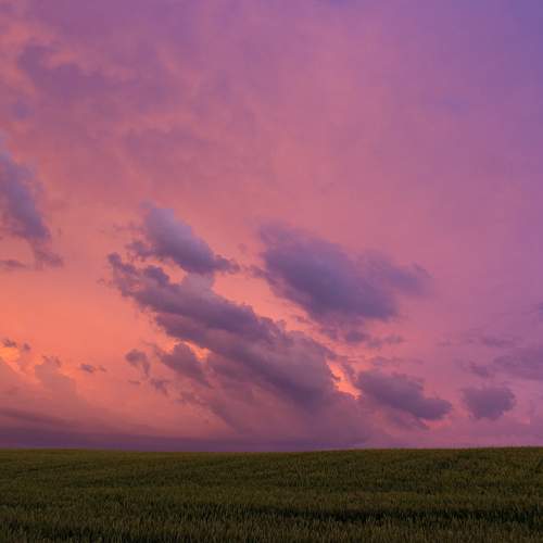 Photo #8425514