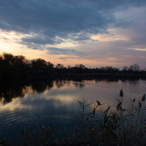 Photo #8425633