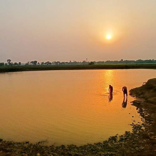 Photo #8425688