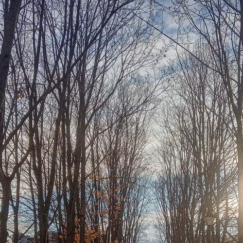Photo #8425721