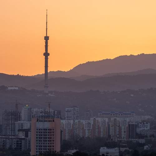 Photo #8425722