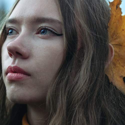 Photo #8426102