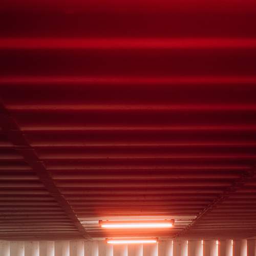 Photo #8426812