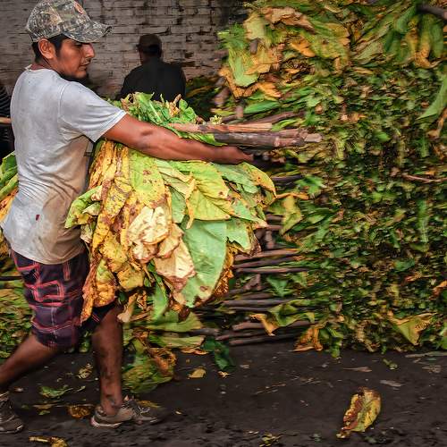 Photo #8427354