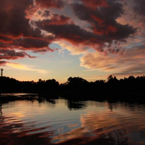 Photo #8427493