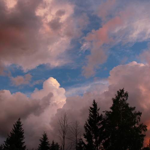 Photo #8427508