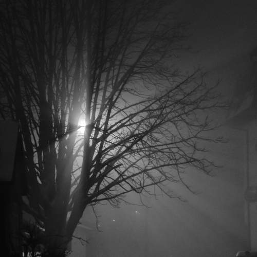 Photo #8427595