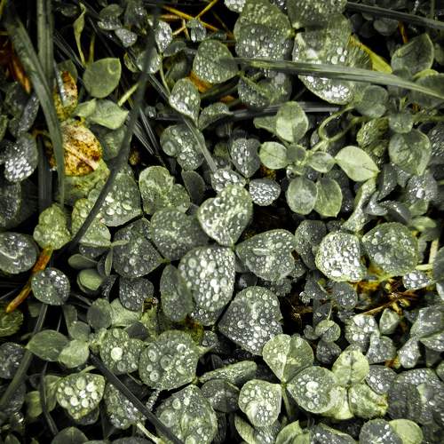 Photo #8427669