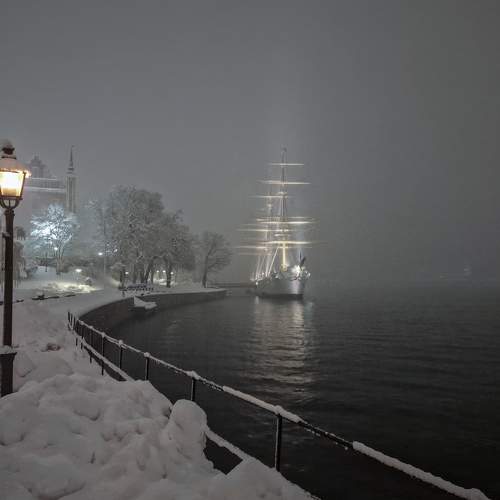 Photo #8427783