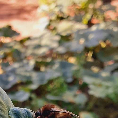 Photo #8427889