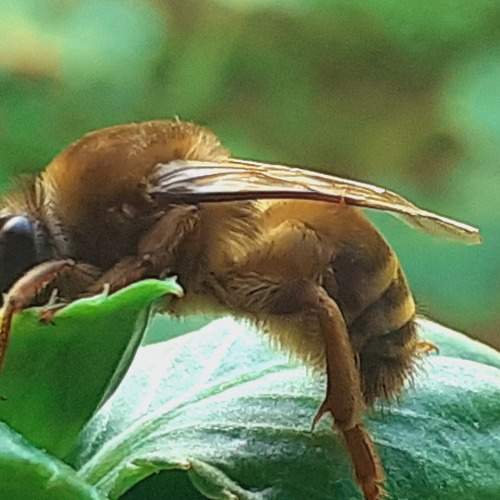 Photo #8427890