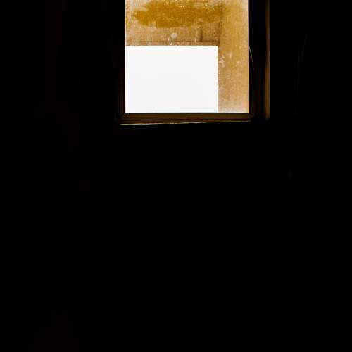 Photo #8428093