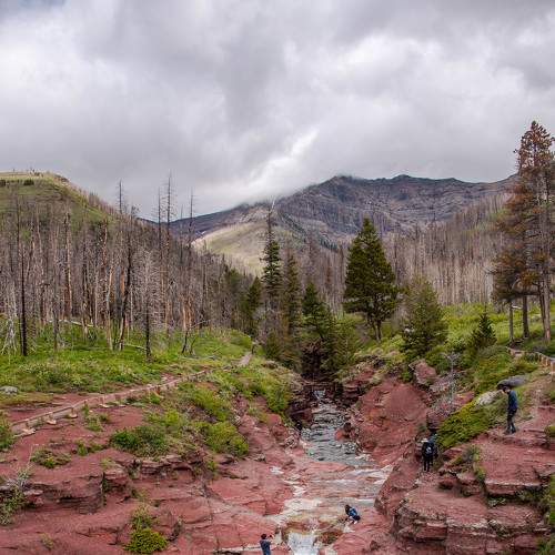 Photo #8428220