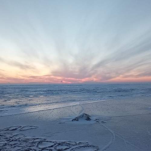 Photo #8428421