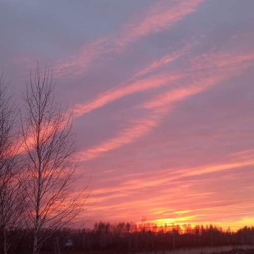 Photo #8428423